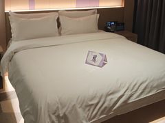 -麗枫酒店(北京西站北广场店)