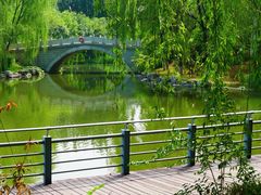 -大兴滨河森林公园