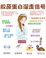 -玛莲朵·海菲秀冰珀科
