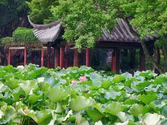 -光明港公园