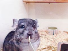 -龙猫仔乐园(惠福东路店)