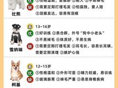 -翊宠yipet猫狗购宠庄园犬舍•猫舍