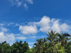 -亚龙湾国际玫瑰谷