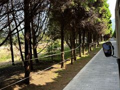 -秦始皇帝陵博物院-丽山园