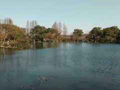 -西湖外事游船(花港观鱼码头)