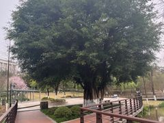 -沐仙湖湿地公园