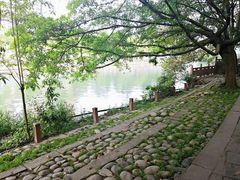 -成都市活水公园