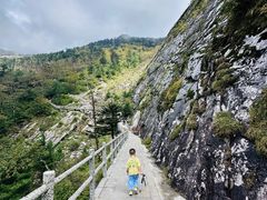 -朱雀国家森林公园