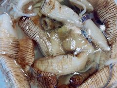 土笋冻-铭聚章鱼土笋冻(松柏店)