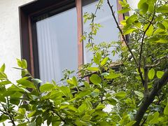 -悦哉·派对·草坪婚礼·围炉煮茶(三圣乡店)
