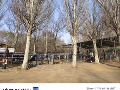-长白岛森林公园