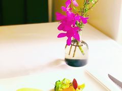 -蝶舍·MAISON PAPILLON