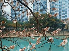 -成都市活水公园