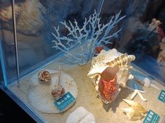 -梦幻海洋王国(吾悦广场张家港店)