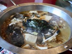 红烧豆腐鱼头汤-西院1号(龙井店)