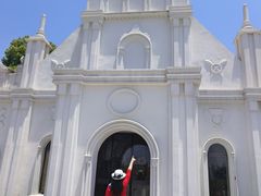 -杭州湾海上花田景区