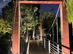 -天鹅湖体育公园