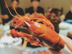 -阿财老铺·老蚌埠龙虾城(华夏总店)