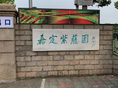 -嘉定紫藤园