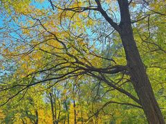 -长白岛森林公园