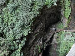 -龙水峡地缝景区