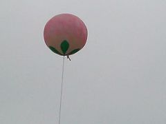 android_upload_pic-田园东方蜜桃村的田野营地