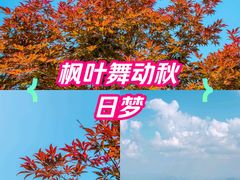 -广州市帽峰山景区
