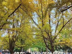 -四川大学(华西校区)