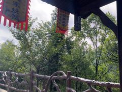 -梭布垭石林景区