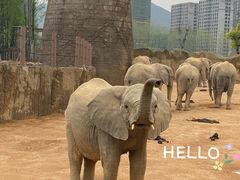 -杭州野生动物世界