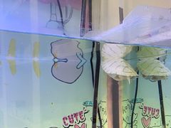-特一安24小时宠物医院·骨科·中兽医