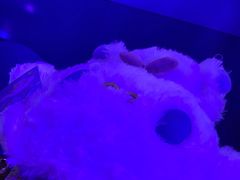 -星际传奇(壹方城购物中心店)