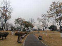 -府河摄影公园