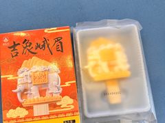 -成都峨眉雪芽大酒店