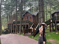 -洛阳白云山景区