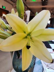 -FineYoga梵音瑜伽·普拉提