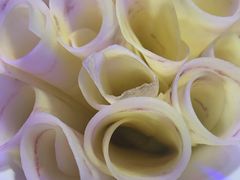 -热火朝天鲜切牛肉火锅(南强街巷店)