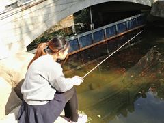 -白马涧龙池景区