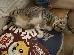 -逃脱反斗城沉浸剧情密室(北京路店)