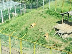 -青藏高原野生动物园