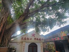 -观澜山水田园