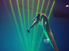 -芜湖新华联大白鲸海洋公园