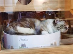 -白兔子密室(长寿路店)