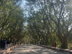 -广州莲花山旅游区