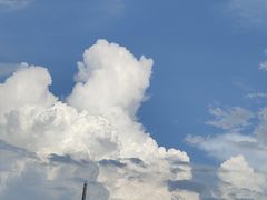 -禾斗海鲜自助(市南银座店)
