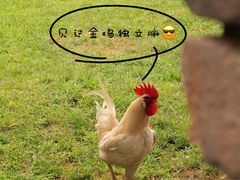 -春风习习