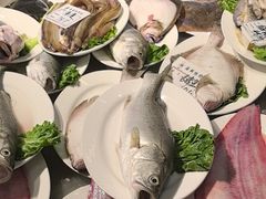 -船泊丽港(统一路店)