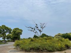 -南京市江宁方山