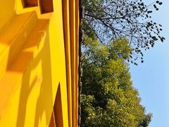 -宝通禅寺