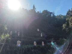 -婺源月亮湾